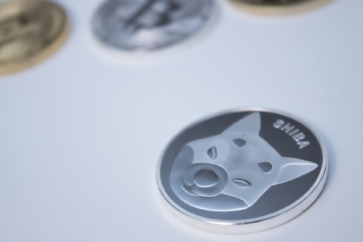 Shiba Inu (SHIB) Outflows Spike Violently as Traders Rush to Self-Custody image 1
