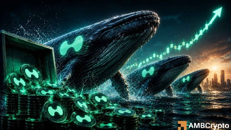 Hyperliquid: Can $9.57M whale buy push HYPE price above $50? image 1