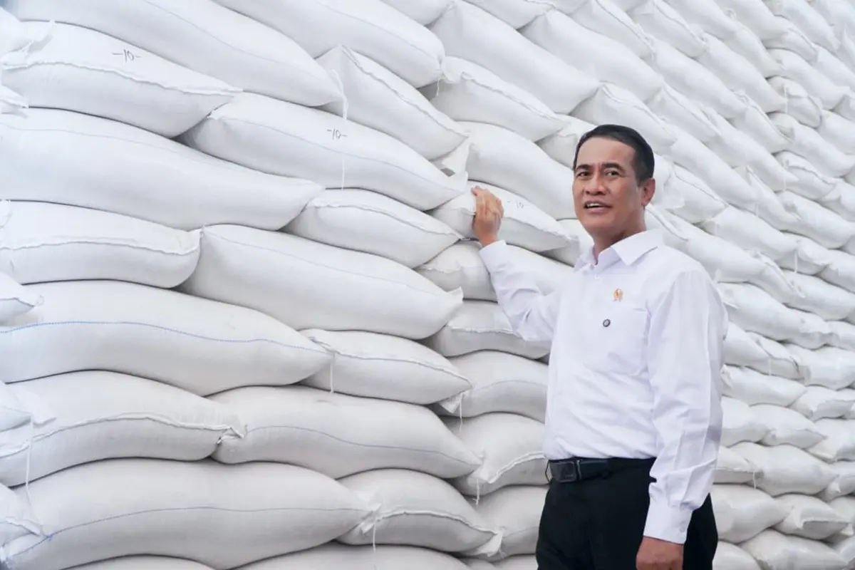 Mentan Minta Masyarakat Tak Khawatir El Nino, Stok Beras 5,2 Juta Ton image 0