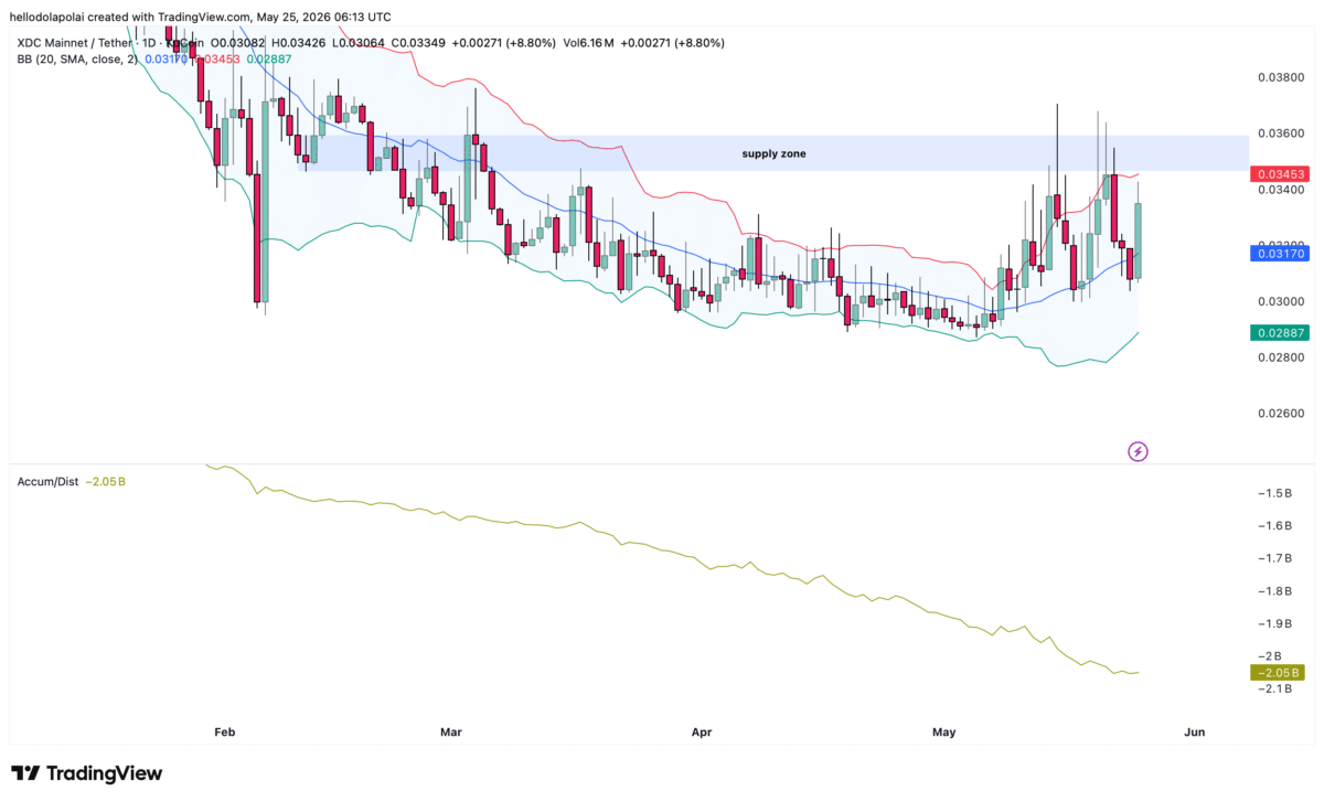 XDC rally faces pressure – Could fading demand trigger a pullback? image 3