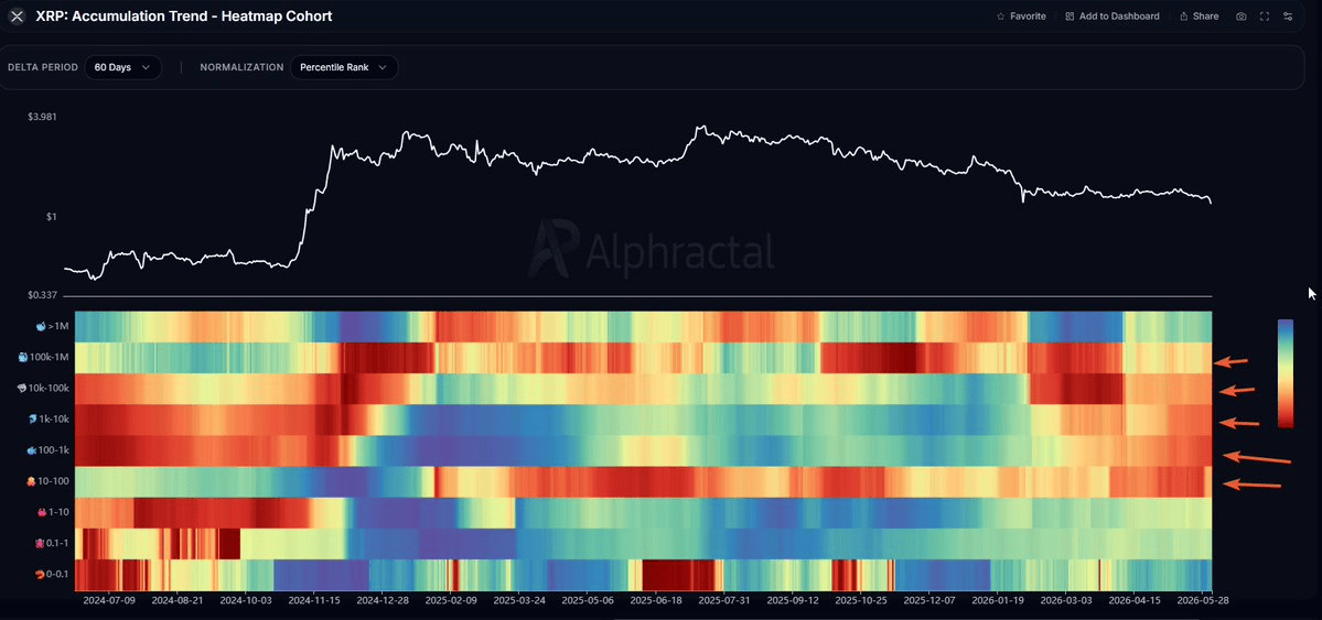 Why XRP’s $1.15 price range could be hiding THESE bullish signals image 2