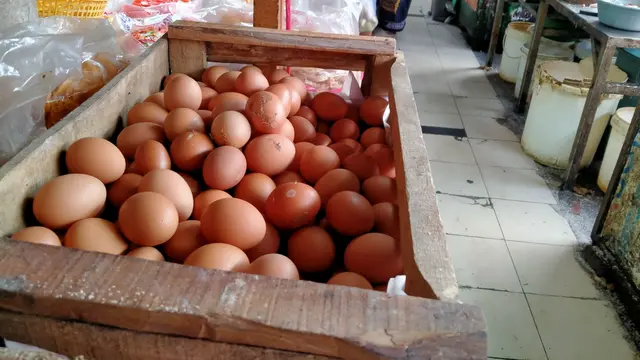 Harga Ayam Tembus Rp 50.000 per Kg, Ukuran Daging Dijual Kian Mengecil image 1