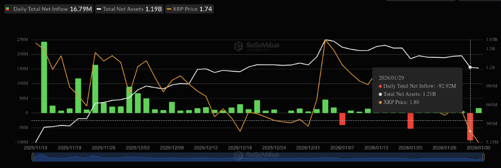 Rising Above The Ashes: XRP ETFs Set New Record image 1