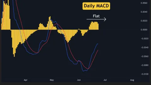 Why Is the Pi Network (PI) Price Down Today? (June 23)