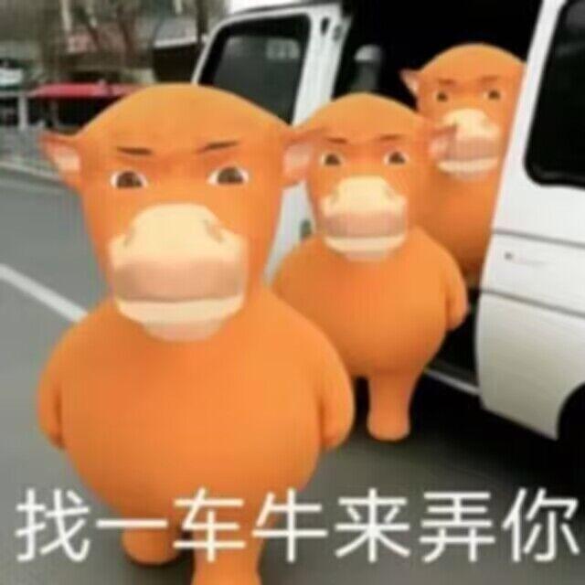 装修队手搓抽象神作《牛来》火了,同名Meme币三天涨了3000倍 image 9