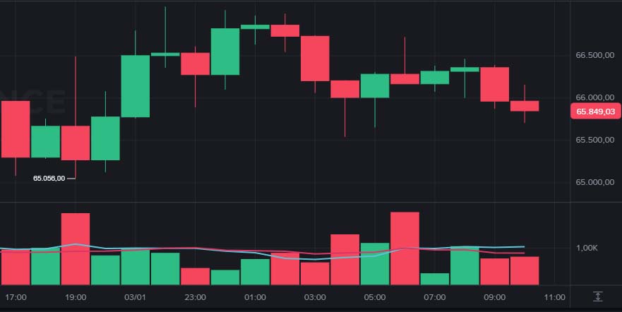 XRP and BNB are vying for 4th place while Bitcoin currently holds $65. image 2