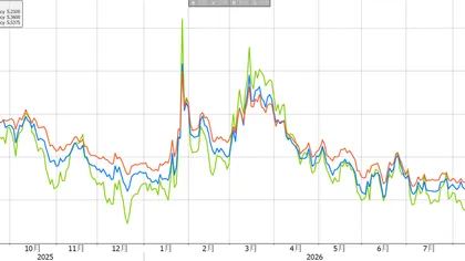 High uncertainty and subdued volatility