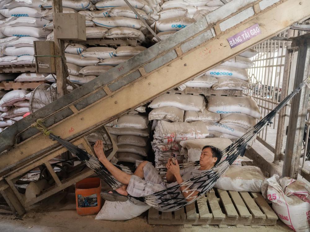 Die New York Times: Der Krieg im Nahen Osten hat den weltweit zweitgrößten Reisexporteur lahmgelegt. image 4