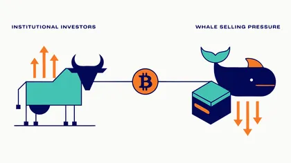 ETF持续买入BTC，价格却涨不动了：机构到底在等什么？