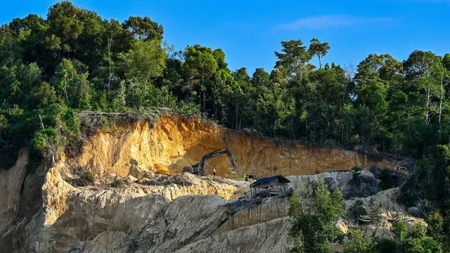 Aturan Deforestasi Eropa Diundur, Pemerintah Diminta Matangkan Regulasi image 4