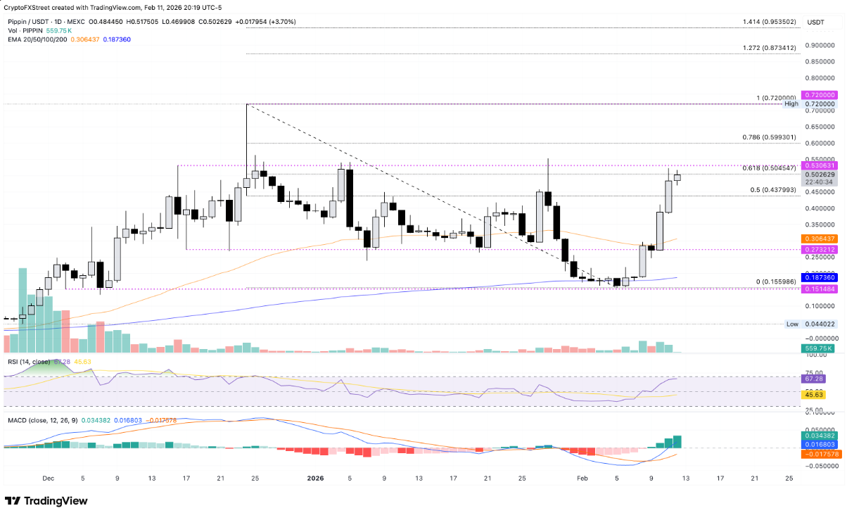 TOP 3 altcoin có xu hướng nổi bật hôm nay – Ngày 12 tháng 2