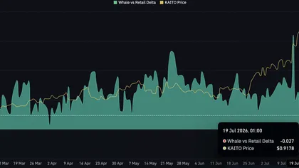 KAITO climbs 13% on retail buying: But is this rally a bull trap?