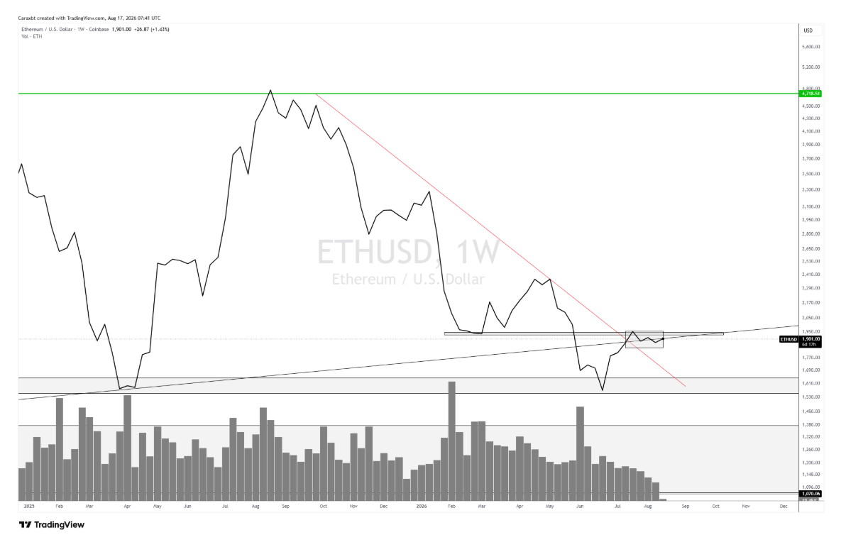 Bitcoin tient bon, les altcoins préparent le rebond – Steady Lads image 5