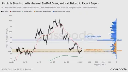 Les investisseurs boudent Bitcoin, le cash devient-il un meilleur placement en 2026 ?