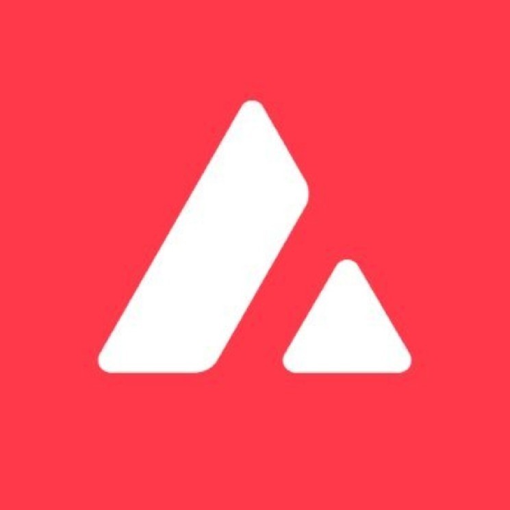 AVAX price surges after record breaking week of activity