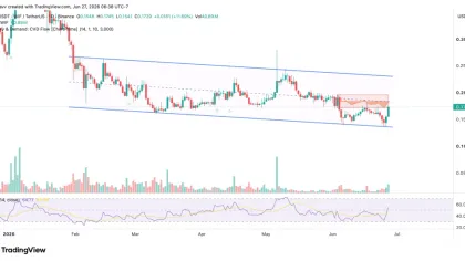  dogwifhat (WIF) Price Rebounds Into Key Supply Zone — Can Bulls Trigger a 30% Breakout?