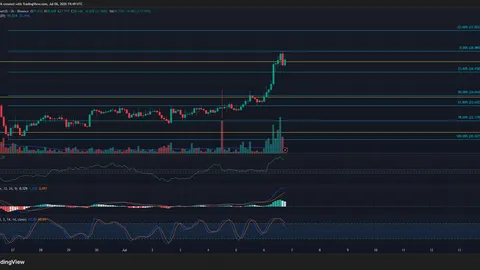 DEXE rallies as trading volume jumps 200%—Can it break $30 next?