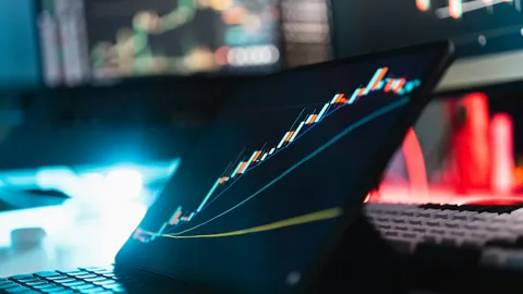 Mysterious Bitcoin Whale Transfers $40B After Years Of Silence