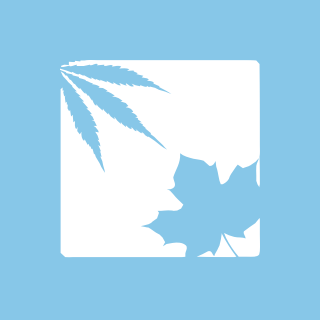 Fagron's Guidance Reset Signals Near-Term Margin Pressure as Acquisitions Weigh on Profitability