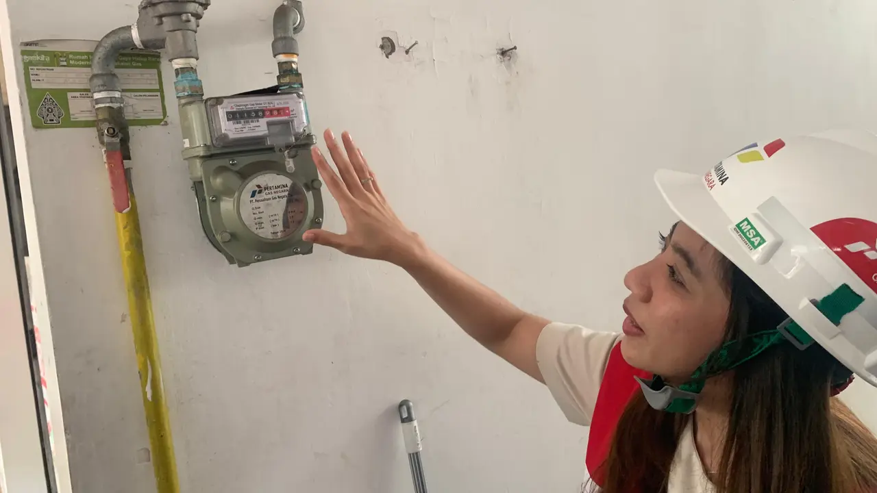 Tekan Impor LPG, Danantara Minta Pertagas Bawa CNG ke Rumah Tangga image 0