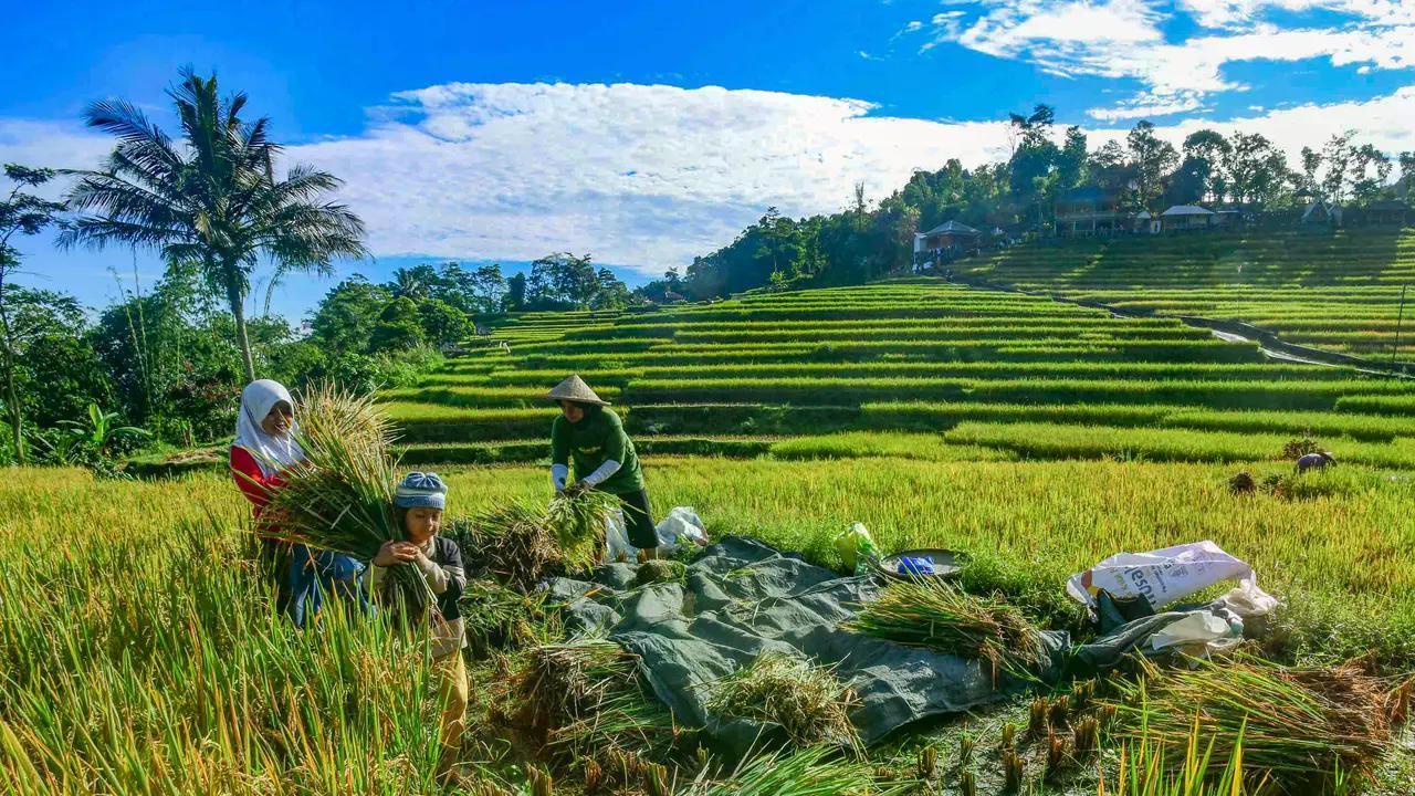 DPR Minta Pemerintah Geser Tolok Ukur Keberhasilan Ekonomi image 0