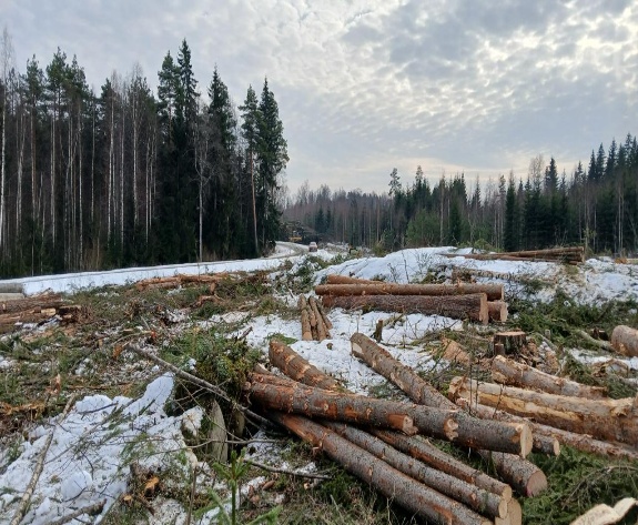 3 E Network Announces Progress Update on Finland AI Data Centre Project: Site Clearance Completed and Earthworks Underway image 0