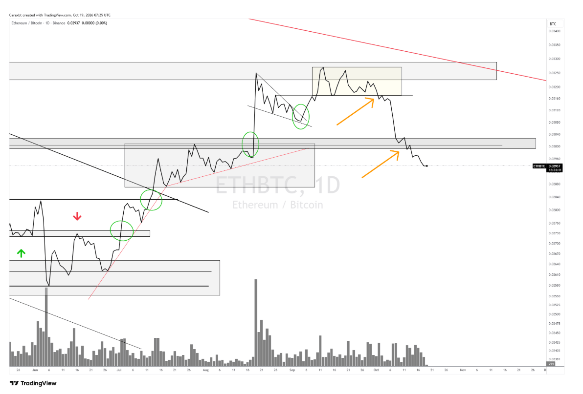 Bitcoin défend ses positions, les altcoins sous tension – Steady Lads image 3