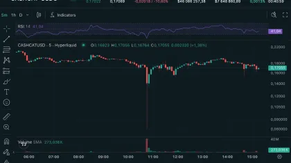 From $0.19 to $0.08: Why Viral CashCat Token Just Suffered 60% Flash Crash