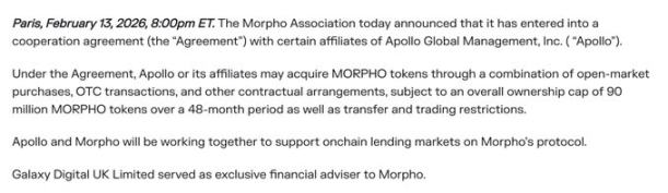 「分币不掏」却币价翻倍，Morpho 的繁荣背后谁在真正获益？