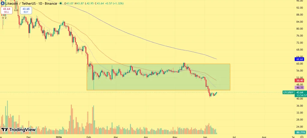 Litecoin Whales Are Buying the Dip — Can LTC Price Reclaim $60? image 2