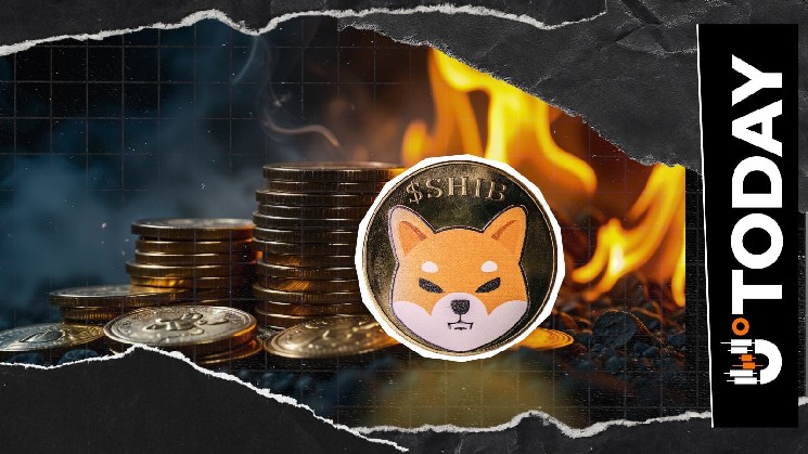 Less Than One Shiba Inu (SHIB) Burned: This Is Why It's Ridiculous image 1