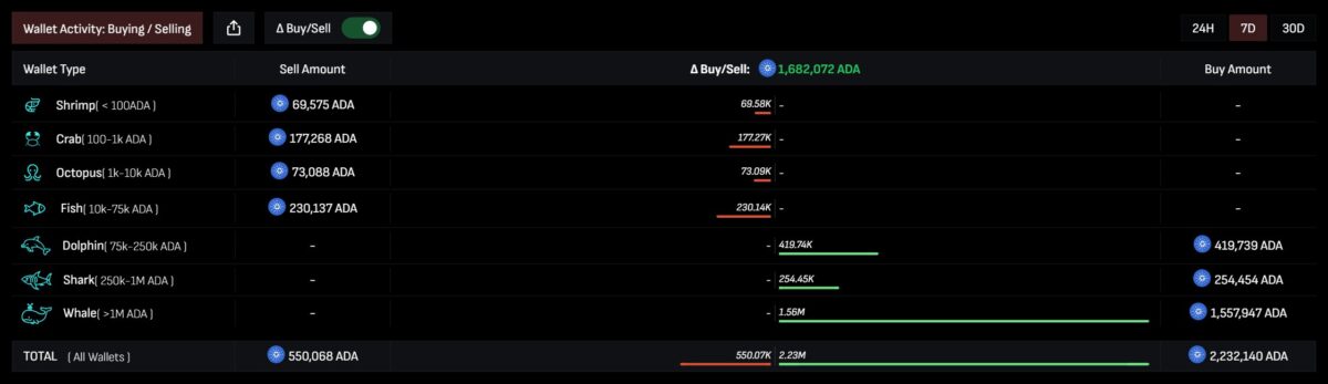 Liquidation wave slams Midnight [NIGHT] – is buyer confidence broken? image 4