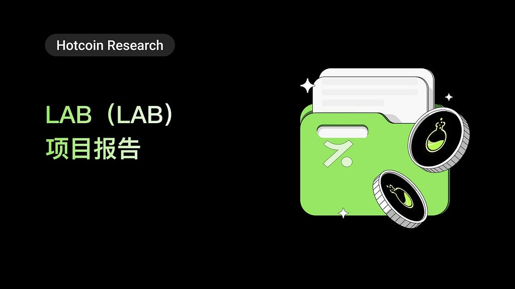  LAB（LAB）项目报告 