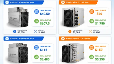 As AI Infrastructure Demand Rises, SHR Miner Expands Focus on Energy Stability and Sustainable Computing Operations
