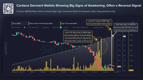 Dormant Cardano Whales Suddenly Come Alive: Is A Turning Point Near?