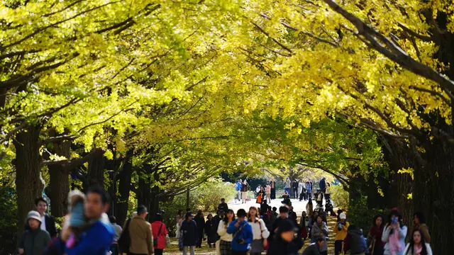 Biaya Energi Naik, Jepang Pangkas Proyeksi Pertumbuhan Ekonomi image 1