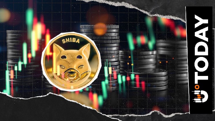 11,000,000,000,000 Shiba Inu in 24 Hours, What's Happening? image 1