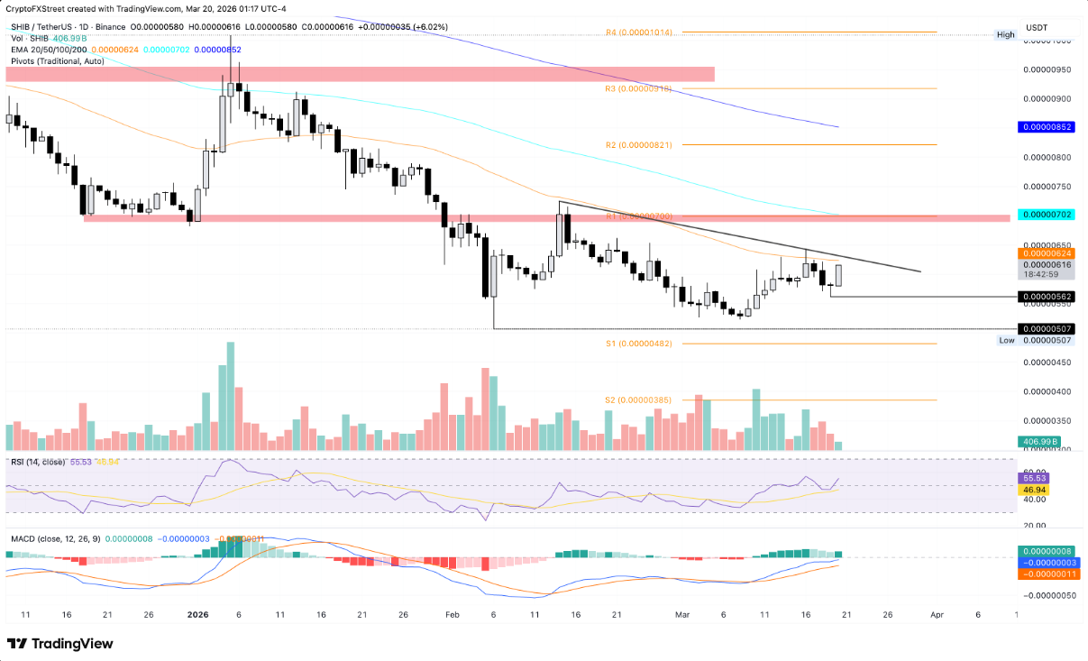 Shiba Inu (SHIB) phát tín hiệu hồi phục nhờ hoạt động đốt token tăng tốc image 3