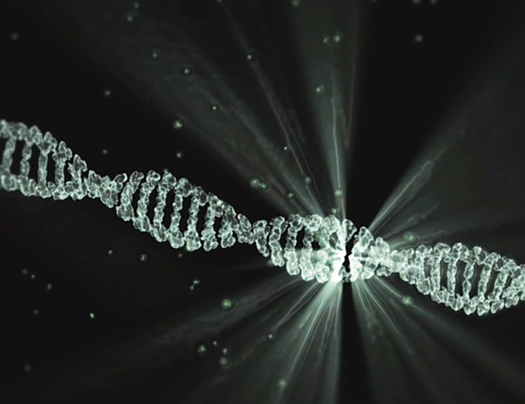 Intellia Therapeutics, Inc. (NTLA): A Bull Case Theory