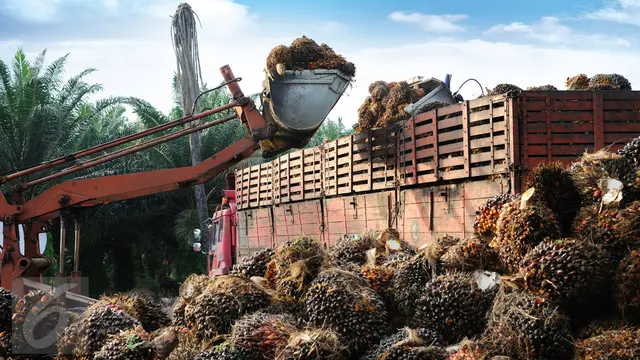 Pasokan MinyaKita Turun, Kemendag Ungkap Penyebabnya image 2