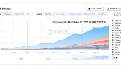 BTC 之后,谁会接过下一轮牛市的接力棒?