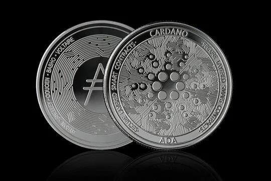 Cardano Holds Critical $0.25 Support: History Points To A Major Rally Setup