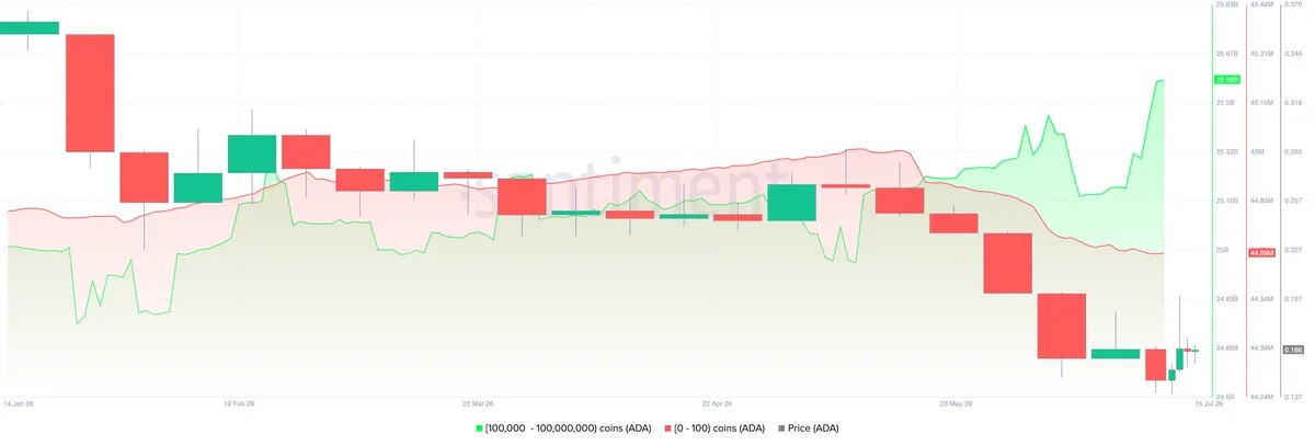Cardano Triggers Hard Fork With First Community-Voted Upgrade