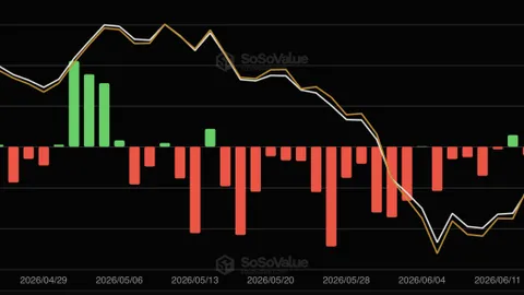 Биткоин-ETF увеличили приток капитала — после десяти дней убытков