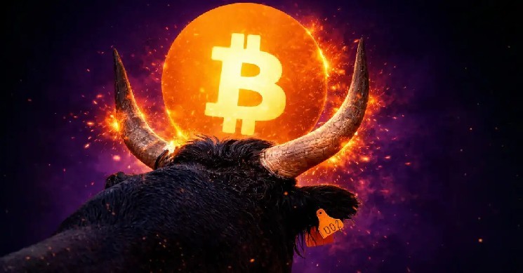 Crypto Bull Run 2026: Analyst Says AI Bubble, Silent Recession, Record Fear May Trigger a Rally image 1