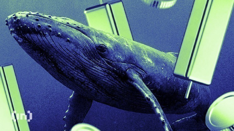 What Crypto Whales Are Buying and Selling Ahead Of The March US CPI Print image 1