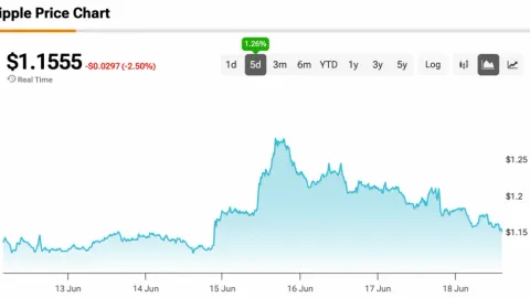 A New XRP Catalyst? Ripple’s Schwartz Teases ‘New Ways People Are Using XRP’ Before Swell 2026