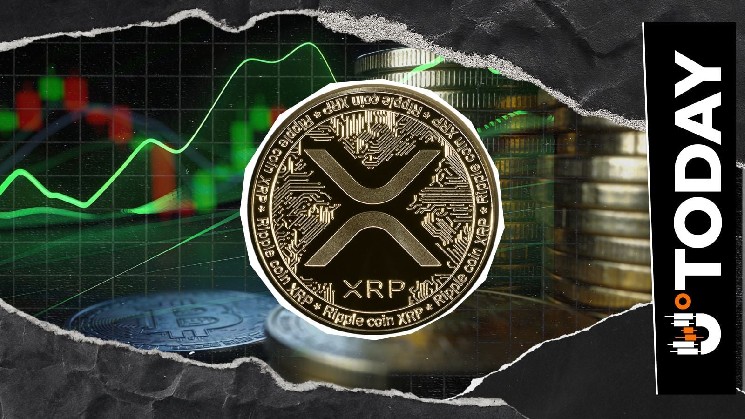 XRP Short Sellers Lead 1,190% 4-Hour Liquidation Imbalance image 1