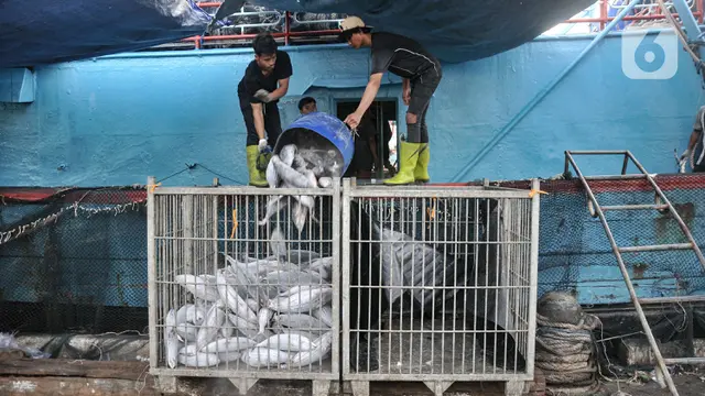Lampaui Target Swasembada, Pemerintah Bidik Indonesia Jadi Eksportir Ikan Terbesar Dunia image 3