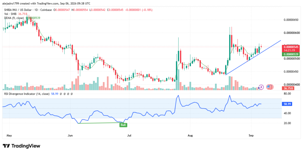 SHIB Recovery Holds as Bulls Defend Key Support image 0
